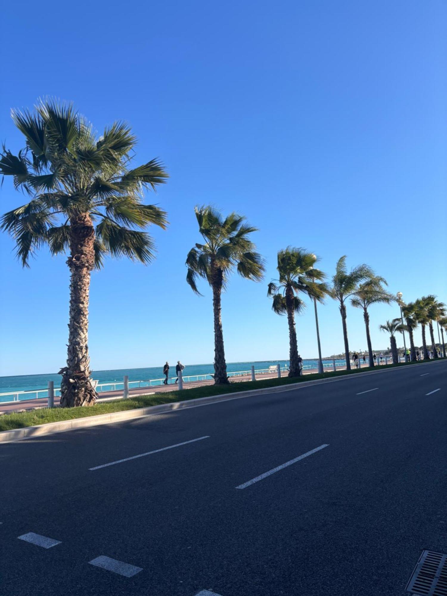 Grand Studio De 30 M2 Promenade Des Anglais Nice Exteriör bild